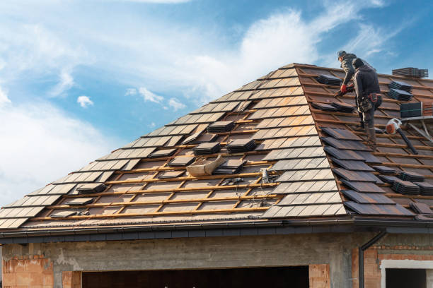 Best Chimney Flashing Repair  in Apollo Beach, FL